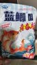 龙王恨鱼饵蓝鲫青春版腥香饵料江河黑坑野钓鲫鲤草鳊鱼鱼食小肽蛋白饵料 实拍图