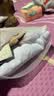 锦度（jindu）平角内裤女士纯棉裆高腰收腹安全女式四角短裤 杏+兰+灰+豆沙 XL 实拍图