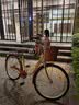 凤凰官方旗舰店自行车成年人男女学生复古轻便城市通勤自行车 荷花 高配单速-米黄 26寸【适合163-175cm】 实拍图
