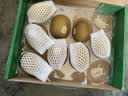 佳沛（zespri）新西兰金奇异果10个装单果重约103-114g 水果礼盒 猕猴桃 实拍图