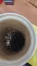 福茗源红茶武夷山特级金骏眉红茶8g 2026新茶自己喝散装试饮装试喝装 实拍图