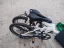 大行（DAHON）P8折叠自行车20英寸8级变速单车KBC083 白色经典版--京仓 实拍图