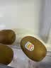 佳沛（zespri）新西兰金奇异果10粒巨大果146-175g猕猴桃水果礼盒 实拍图