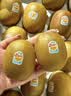 佳沛（zespri）新西兰金奇异果10个装单果重103-114g猕猴桃水果礼盒 实拍图