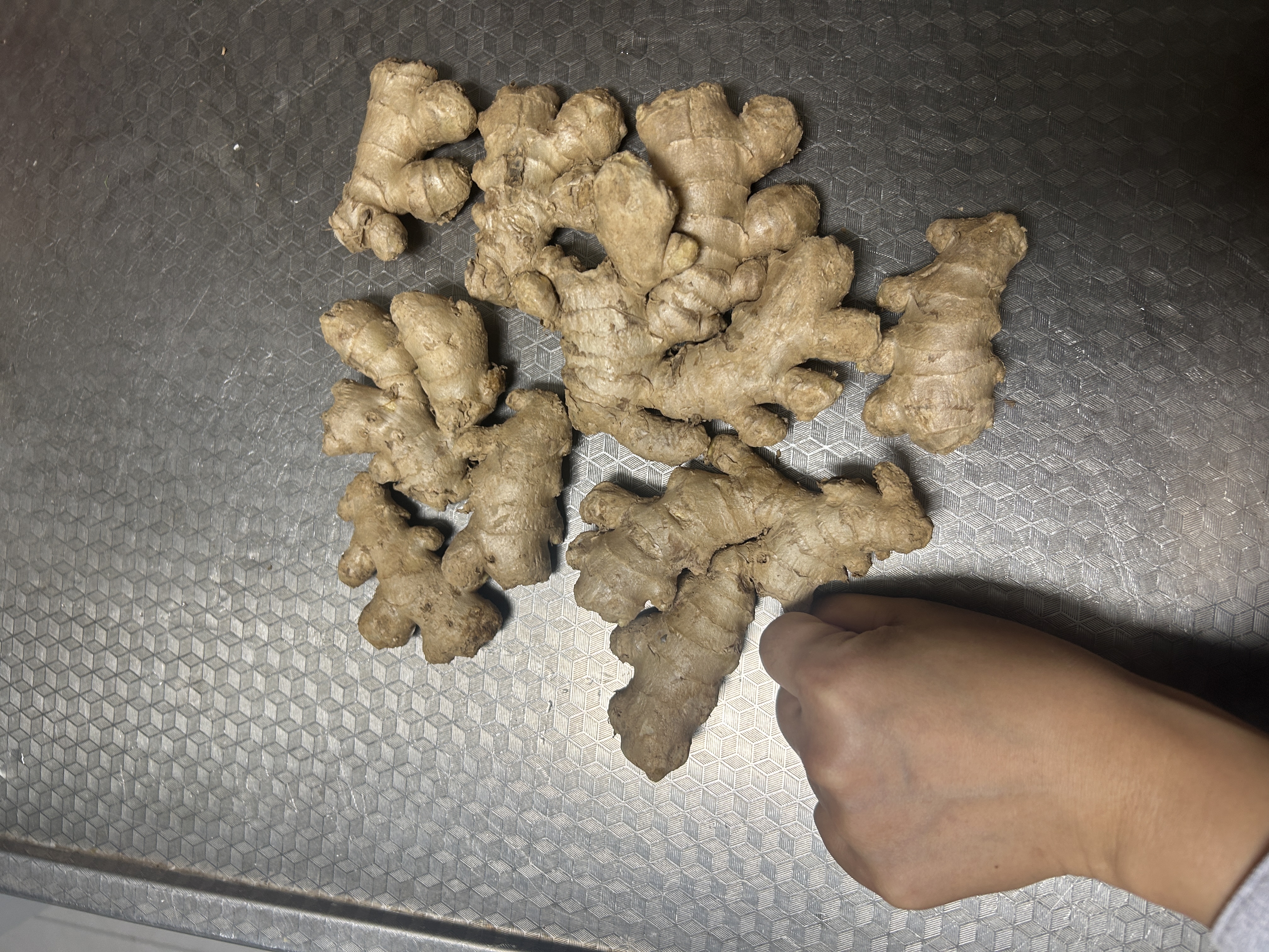 新鲜老姜生姜批发风干无土姜块黄姜月子姜山东大姜新鲜现挖原生态 山东大姜1斤/箱 实拍图
