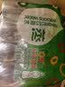 屈臣氏蒸馏水纯净水280ml*8瓶小瓶装水饮用水尝鲜装会议出行护肤 实拍图