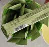 金豆芽九只小梨 纯梨膏孕妇梨膏小孩清润秋梨膏莱阳砀山滋养鲜梨膏 210g 小梨桶纯梨膏*2 实拍图