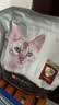 冠能猫粮成猫猫粮鸡肉味3.5kg 全价猫粮 稳固免疫 适口性强 实拍图
