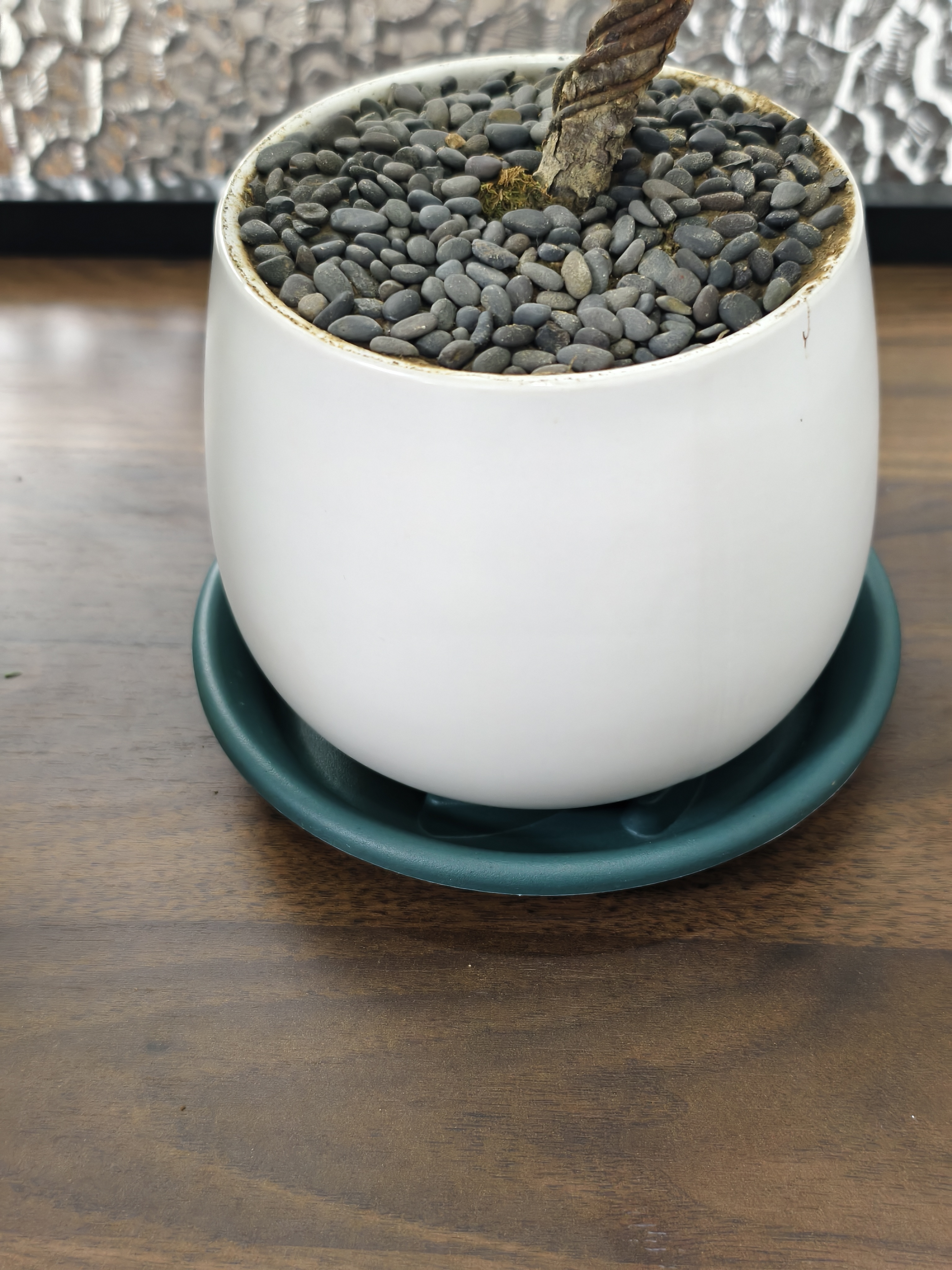 芷郁绿植盆栽托盘垫接水圆形防烂根树脂花盆托底座托盘 特厚150型3个 实拍图