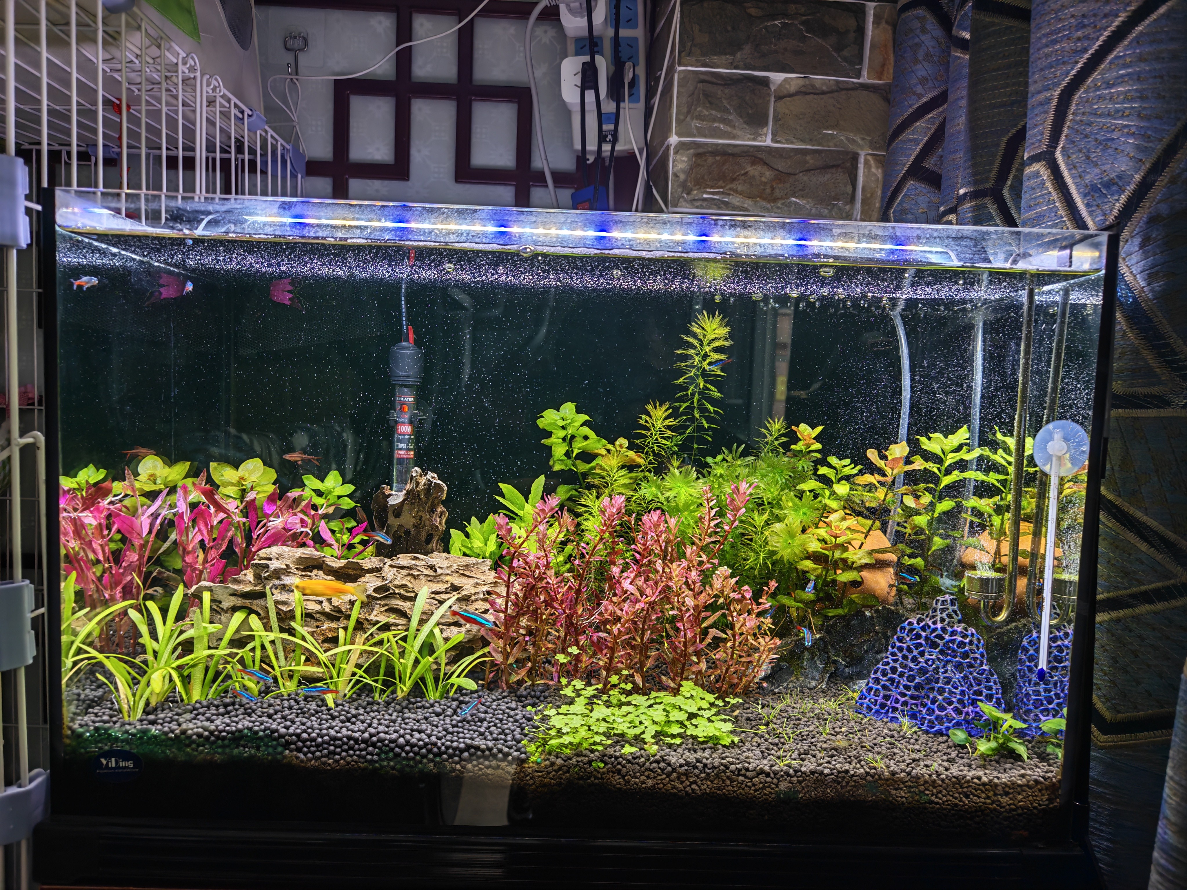 疯狂水草水草液肥鱼缸水草营养液不伤鱼700ml鱼缸水培水草植物通用营养液 实拍图