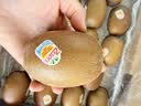 佳沛（zespri）新西兰金奇异果22粒巨大原箱146-175g猕猴桃水果礼盒 实拍图