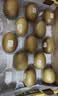佳沛（zespri）新西兰金奇异果10粒巨大果146-175g猕猴桃水果礼盒 实拍图