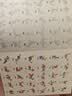 猫太子磁力七巧板磁性3-6岁小学生专用一二年级儿童磁吸拼图智力解压玩具立体积木数学教具 实拍图