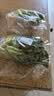 【烧烤季】钟灵山罗马生菜400g 实拍图