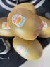 佳沛（zespri）新西兰金奇异果15粒巨大果146-175g猕猴桃水果礼盒 实拍图