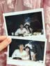 INSTAX富士instax立拍立得 宽幅相纸 白边双包装20张（适用于WIDE系列相机） 实拍图