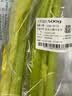 大芹菜约500g 实拍图