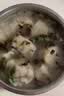 思念金牌虾水饺至臻虾皇480g32只饺子儿童营养早餐速冻半成品夜宵速食 实拍图