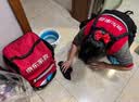 京东家政 【2小时保洁10次服务】家政保洁上门服务 京东保洁家庭清洁 适用面积＜55平米 实拍图