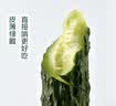 长黄瓜约600g 实拍图