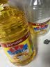 鲁花 食用油 物理压榨 葵花仁油6.18L  实拍图
