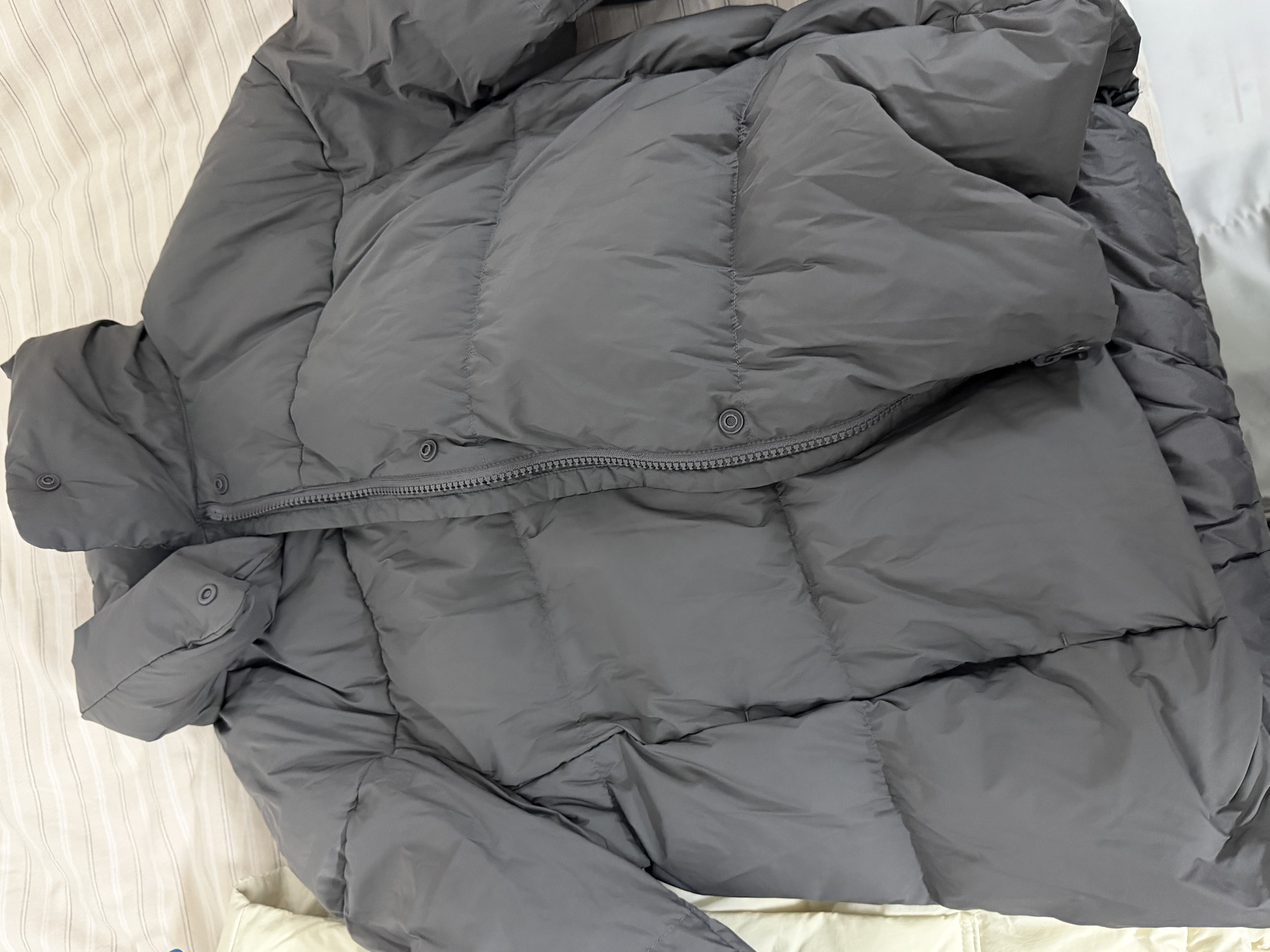 京东衣鞋任洗3件 上门取送去渍整形 价值2000元内羽绒服/棉服/大衣/鞋 实拍图