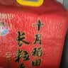 十月稻田 长粒香大米 20斤（东北大米 香米 10kg/公斤） 实拍图