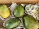 京鲜生 攀枝花【即食大果】凯特芒果 净重10斤 单果700g 5-7颗 生鲜礼盒 实拍图