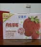 伊利安慕希丹东草莓风味酸奶230g*10瓶  礼盒装 实拍图