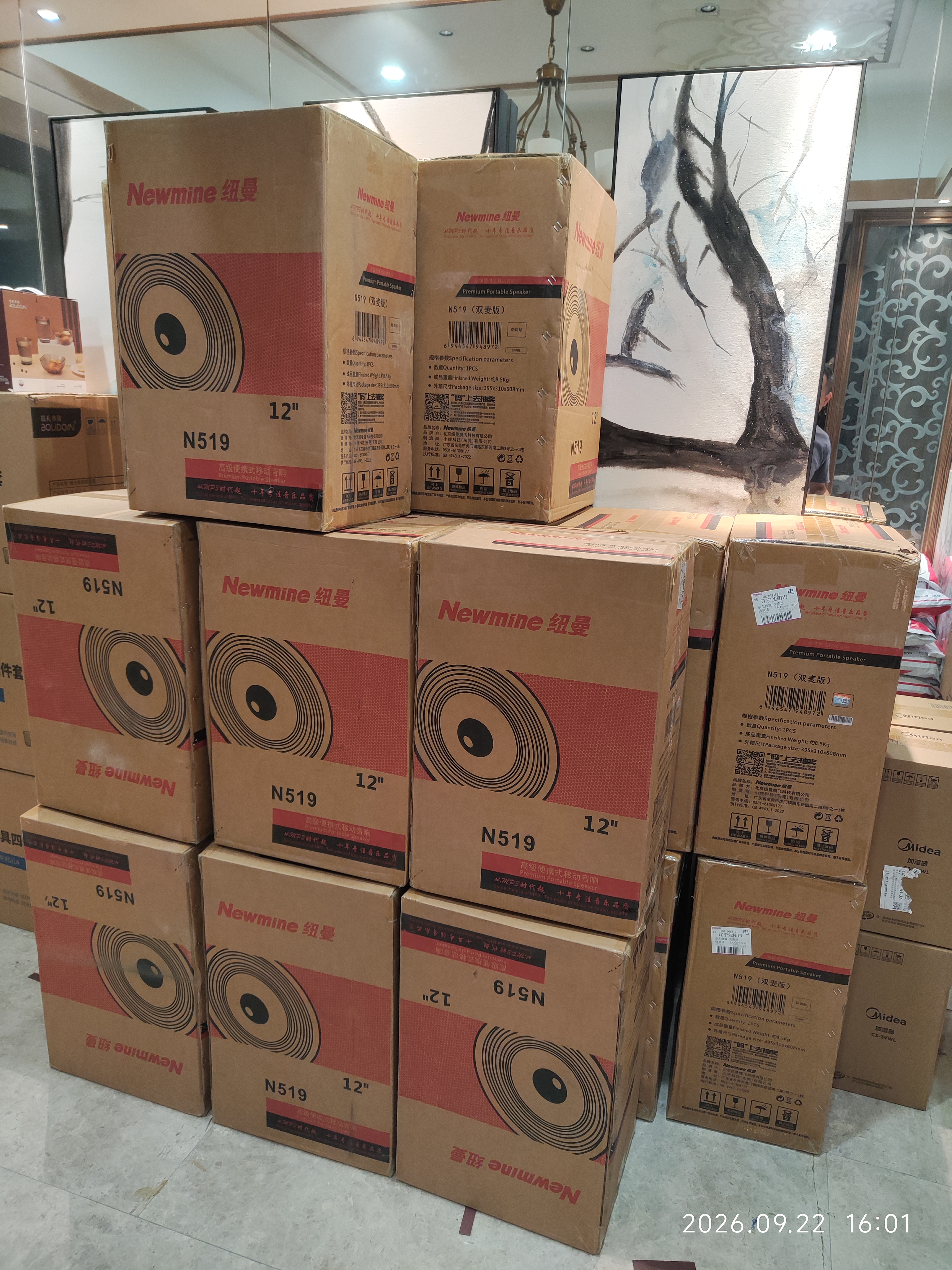 纽曼N519 12英寸大功率重低音广场舞音响移动家用户外K歌蓝牙拉杆便携式音箱扩音器双麦 带适配器 实拍图