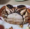 【活蟹】今锦上弘悦大闸蟹鲜活螃蟹礼盒全母2.0-2.3两8只精品国庆礼盒礼品去绳足重 实拍图