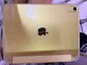 Apple/苹果 iPad 11英寸 A16芯片2025年款 平板电脑 (256GB WLAN版学习办公娱乐)黄色 实拍图