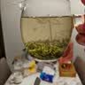 京东京造【2026新茶】明前信阳毛尖250g春茶叶绿茶地标认证口粮茶 实拍图