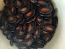 良品铺子西瓜子话梅味650g 黑瓜子小包装坚果炒货大礼包零食送礼企业团购 实拍图