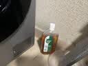 滴露（Dettol）消毒液洗衣衣物消毒水750mL 除螨杀菌混洗无忧 家居地板消毒 非84 实拍图