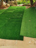 夺秀 仿真草坪地毯塑料假草皮 人造草坪阳台户外人工草坪幼儿园假草坪 25mm标准款耐用春草/平方 每平方尺寸（2米*0.5米） 实拍图