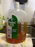 滴露（Dettol）消毒液洗衣衣物消毒水750mL 除螨杀菌混洗无忧 家居地板消毒 非84 实拍图