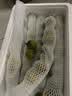 京鲜生 山东老味青口蜜圣女果净重3斤 水果绿色小番茄酸甜源头直发 实拍图