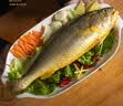 鸿顺【冰鲜】黄花鱼 4 条 净重 4 斤 生鲜鱼类 宁德大黄鱼 源头直发 实拍图