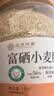应序天养富硒原味纯小麦胚芽2斤装未提取胚芽油无添加蔗糖尿病人主食专用 实拍图