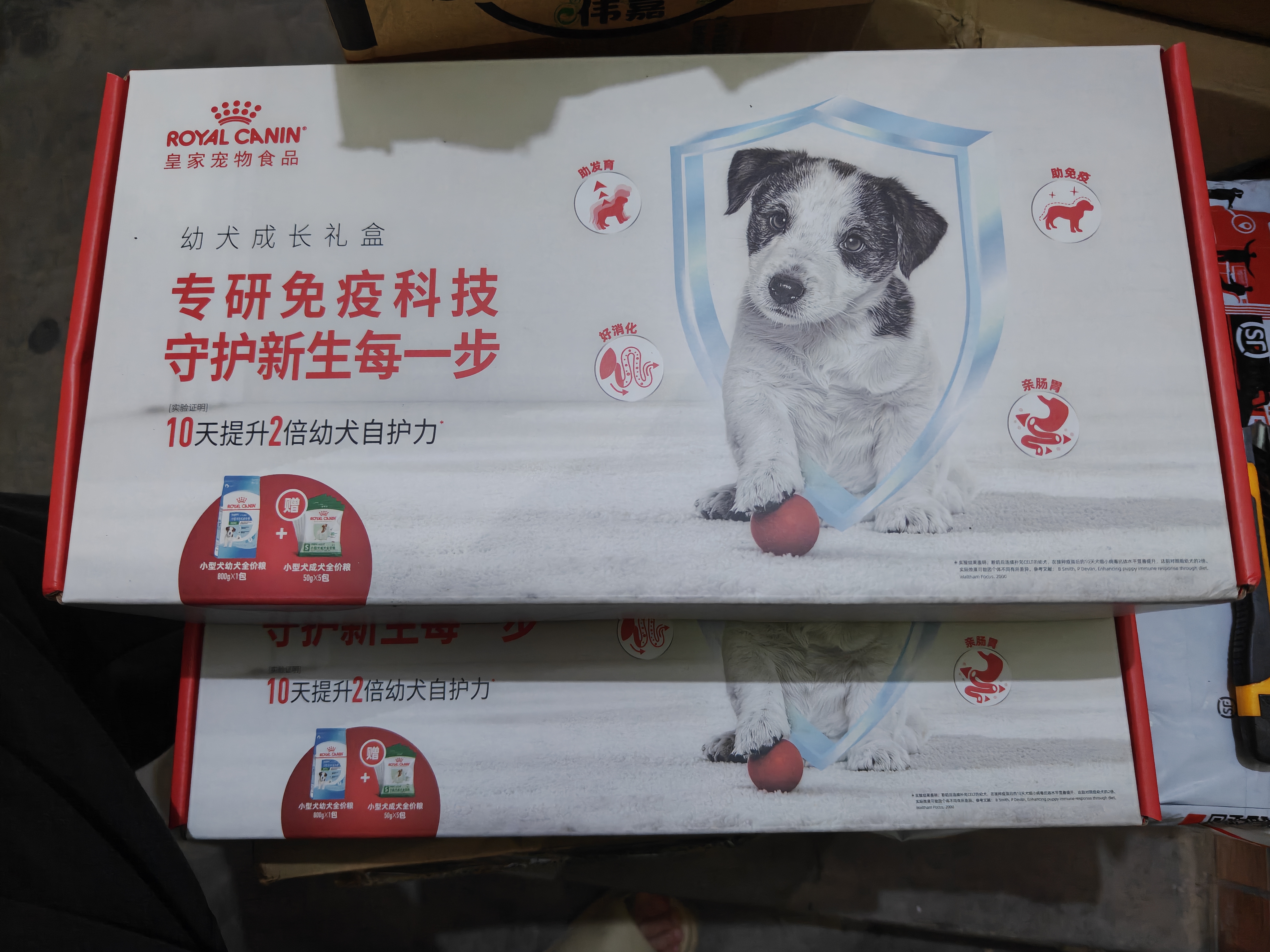皇家狗粮幼犬成长礼盒（幼犬粮 800g+成犬粮 50g*5）小型犬 泰迪 贵宾 实拍图