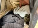 京东洗衣衣鞋任洗6件 洗衣洗鞋 羽绒服/大衣/运动鞋 免费上门取送去渍整形价值2000元内衣服鞋子 实拍图