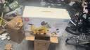 汇乐玩具儿童玩具车1-3岁婴儿宝宝学步车遛娃车香蕉飞机生日周岁礼物 实拍图