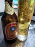 青岛啤酒（TsingTao）金质小棕金 低温酿造 296ml*24瓶 整箱装 实拍图