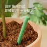 史丹利缓释肥营养棒24g 花肥家用盆栽通用养花复合氮磷钾花卉型多肉 实拍图