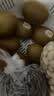 佳沛（zespri）新西兰金奇异果12粒特大果124-146g猕猴桃水果礼盒 实拍图