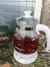 金灶（KAMJOVE） 养生壶煮茶器喷淋式煮茶炉白茶壶黑茶壶办公室家用蒸汽煮茶壶1L 白色 1L 实拍图