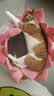 诚实一口P40全价猫粮成猫幼猫室内外80%鲜肉高蛋白长肉泌尿大鹅味1.5kg 实拍图