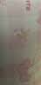 水星儿童枕套 A类纯棉枕套一对装两只 纯棉抑菌 宿舍学生儿童枕套48*74cm 实拍图
