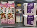 晨光酸牛奶饮品946ml*1盒 油柑桃桃风味发酵型 减蔗糖25% 实拍图